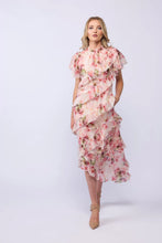 Load image into Gallery viewer, Drama the Label Freda Dress - Carnation