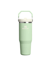 Load image into Gallery viewer, Stanley The IceFlow Flip Straw Tumbler 30oz - Pistachio Hyde Boutique