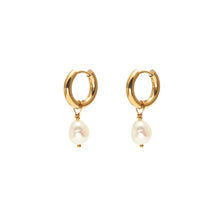 Load image into Gallery viewer, Silk & Steel Allure Hoops - Gold