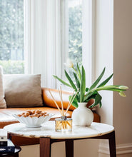 Load image into Gallery viewer, Ecoya Maple Fragranced Large Diffuser Diffuser Ecoya