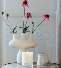 Load image into Gallery viewer, Ecoya Maple Madison Candle Candle Ecoya