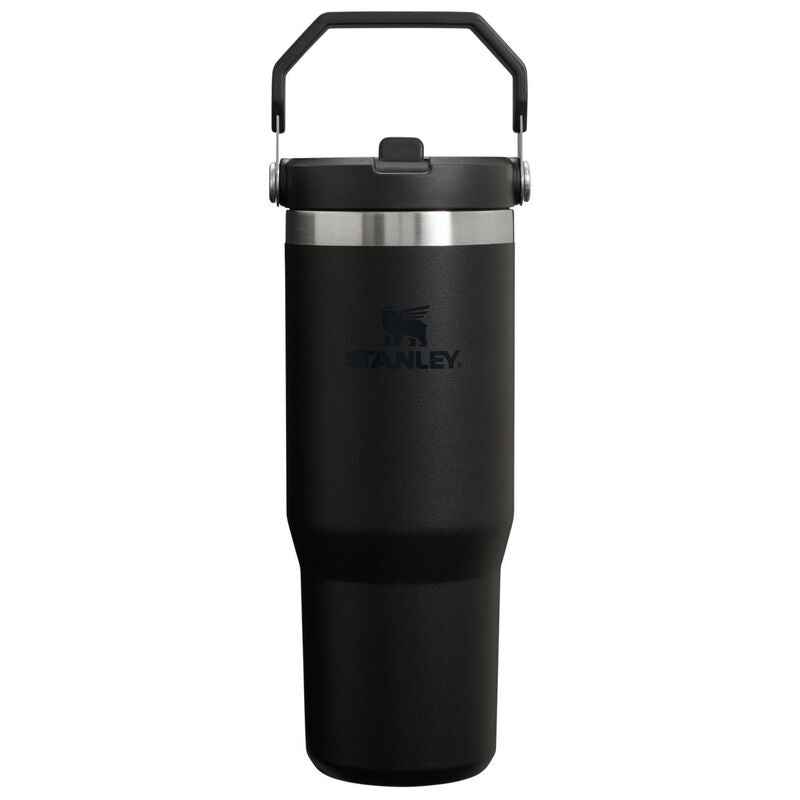 Stanley The IceFlow Flip Straw Tumbler 30oz - Black Hyde Boutique