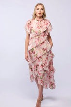 Load image into Gallery viewer, Drama the Label Freda Dress - Carnation
