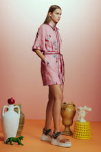 Load image into Gallery viewer, Alémais Timmy Embroidered Mini Dress - Pink  Hyde Boutique   
