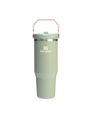 Stanley The Desert Heritage IceFlow Flip Straw Tumbler 30oz - Lichen Hyde Boutique