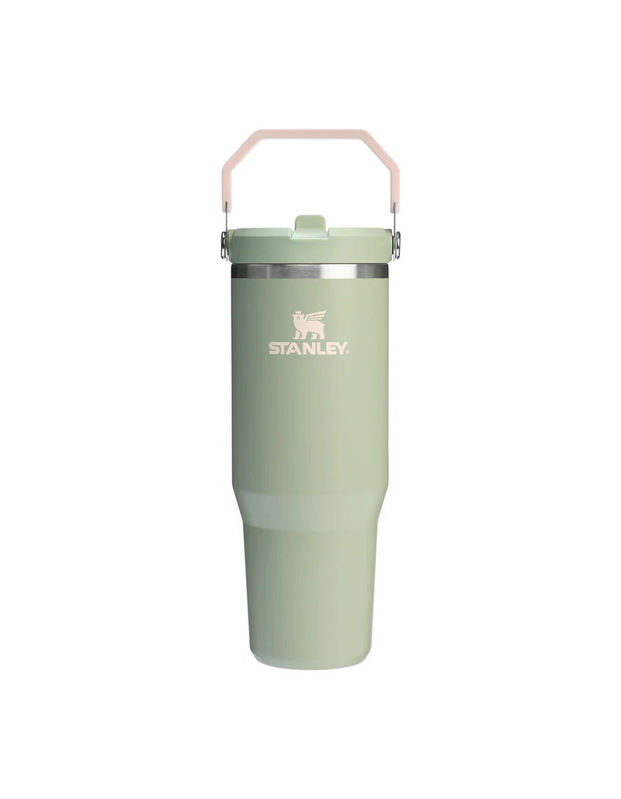 Stanley The Desert Heritage IceFlow Flip Straw Tumbler 30oz - Lichen Hyde Boutique
