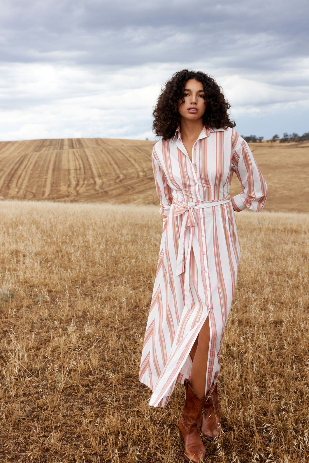 Aston Studio Arlet Dress - Peony/Antique Stripe Hyde Boutique