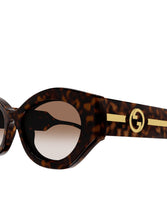 Load image into Gallery viewer, Gucci GG1553S Sunglasses - Havana  Hyde Boutique   
