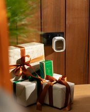 Load image into Gallery viewer, Ecoya Plug-in Fragrance Flask 24ml - Fresh Pine Plug-in Fragrance Flask Ecoya
