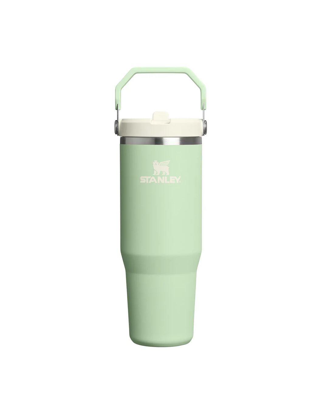 Stanley The IceFlow Flip Straw Tumbler 30oz - Pistachio Hyde Boutique