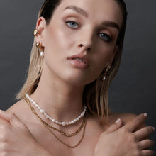 Load image into Gallery viewer, Silk &amp; Steel Allure Hoops - Silver
