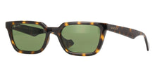 Load image into Gallery viewer, Gucci GG1539S Sunglasses - Havana Sunglasses Gucci
