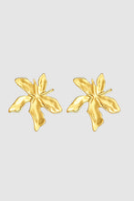 Load image into Gallery viewer, Castel &amp; Co Romy Earrings - Gold Hyde Boutique
